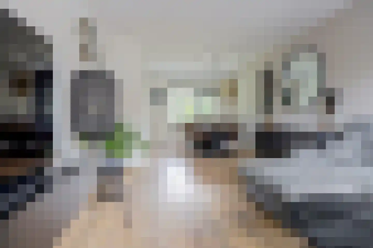 van Goghstraat 4 Zwijndrecht thumbnail 8