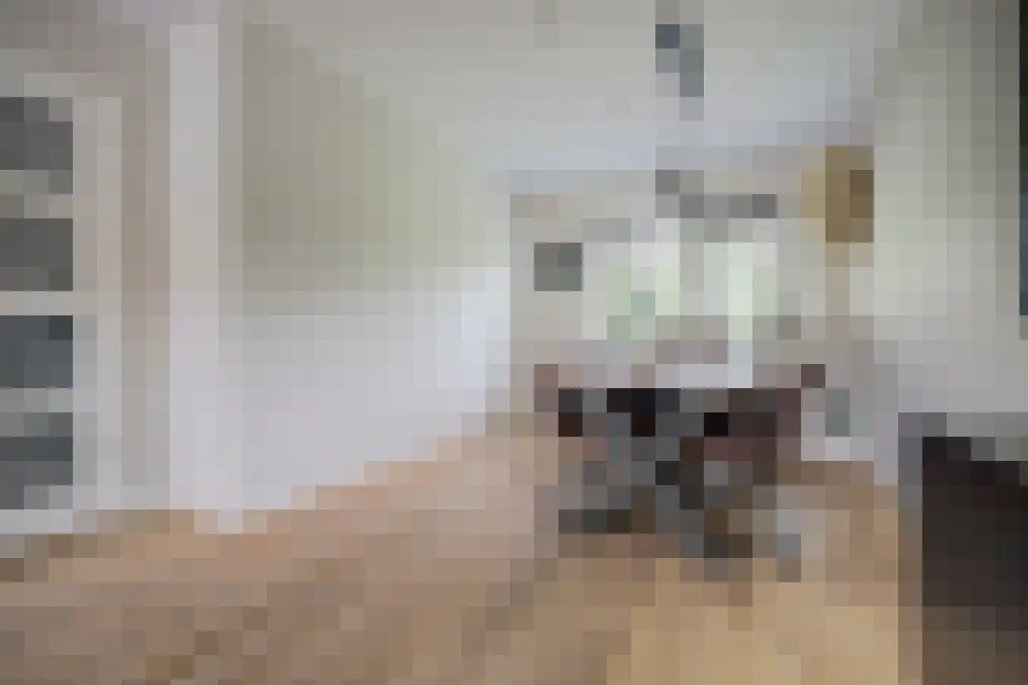 van Goghstraat 4 Zwijndrecht thumbnail 9