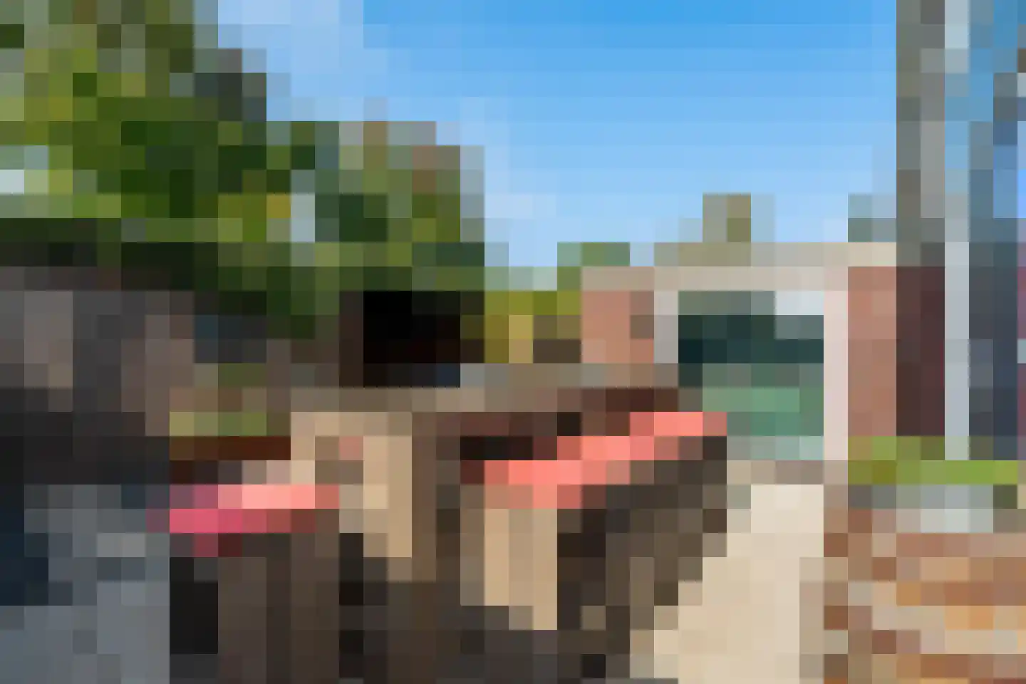 Van Goghstraat 41 Reeuwijk thumbnail 26