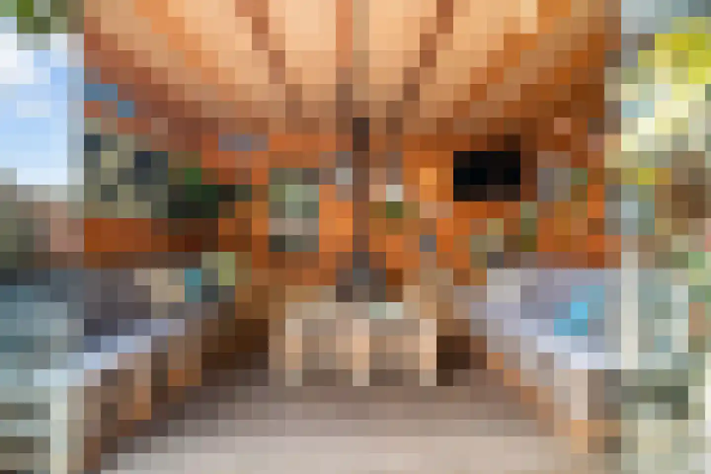 Van Goghstraat 41 Reeuwijk thumbnail 29