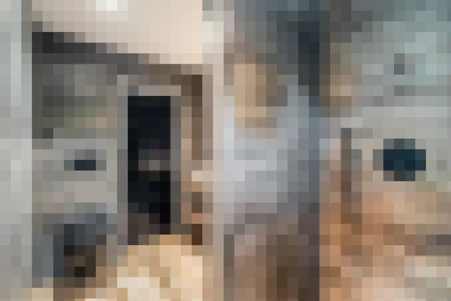 Van Goghstraat 41 Reeuwijk thumbnail 42