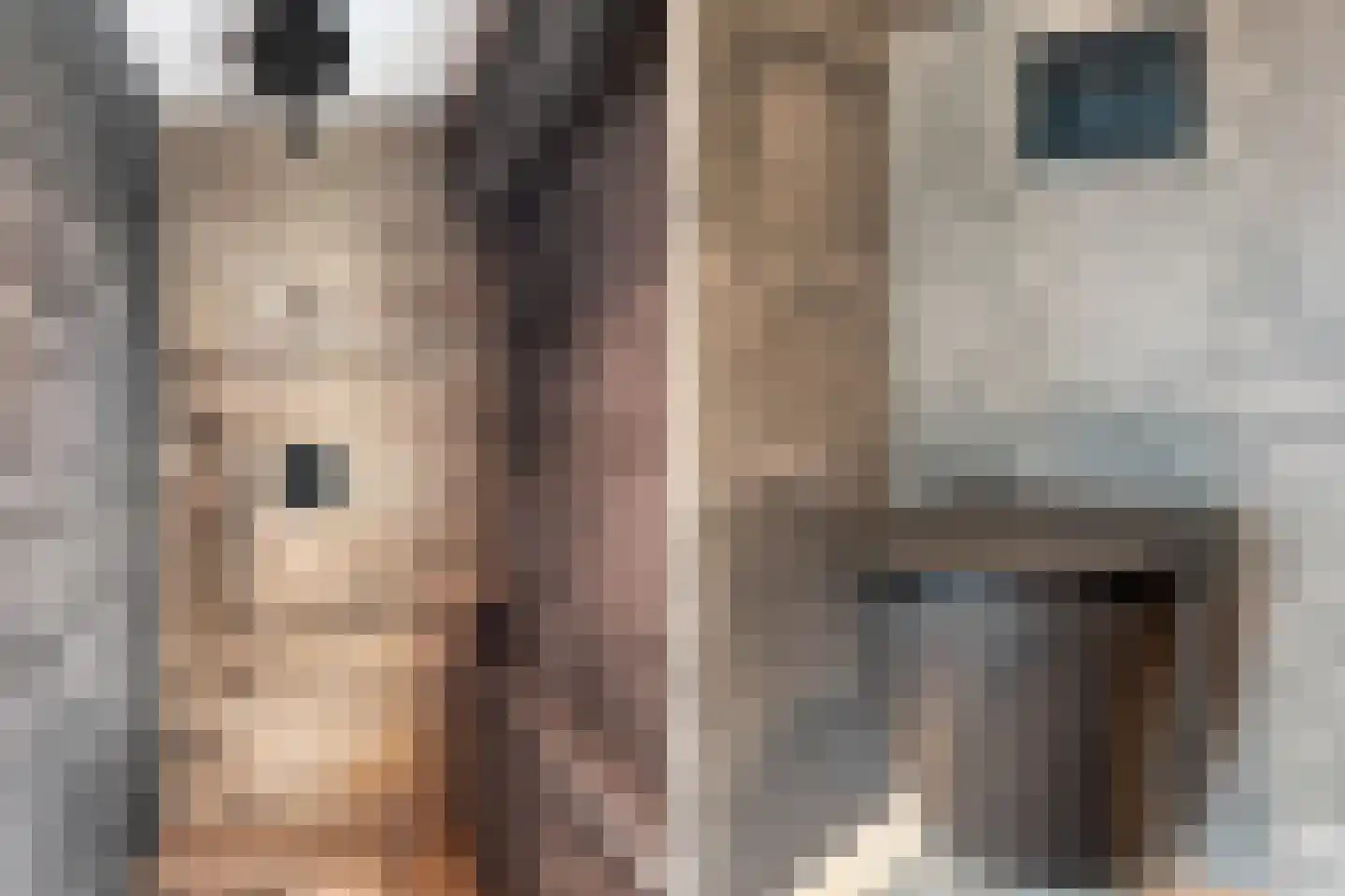 Van Goghstraat 41 Reeuwijk thumbnail 43