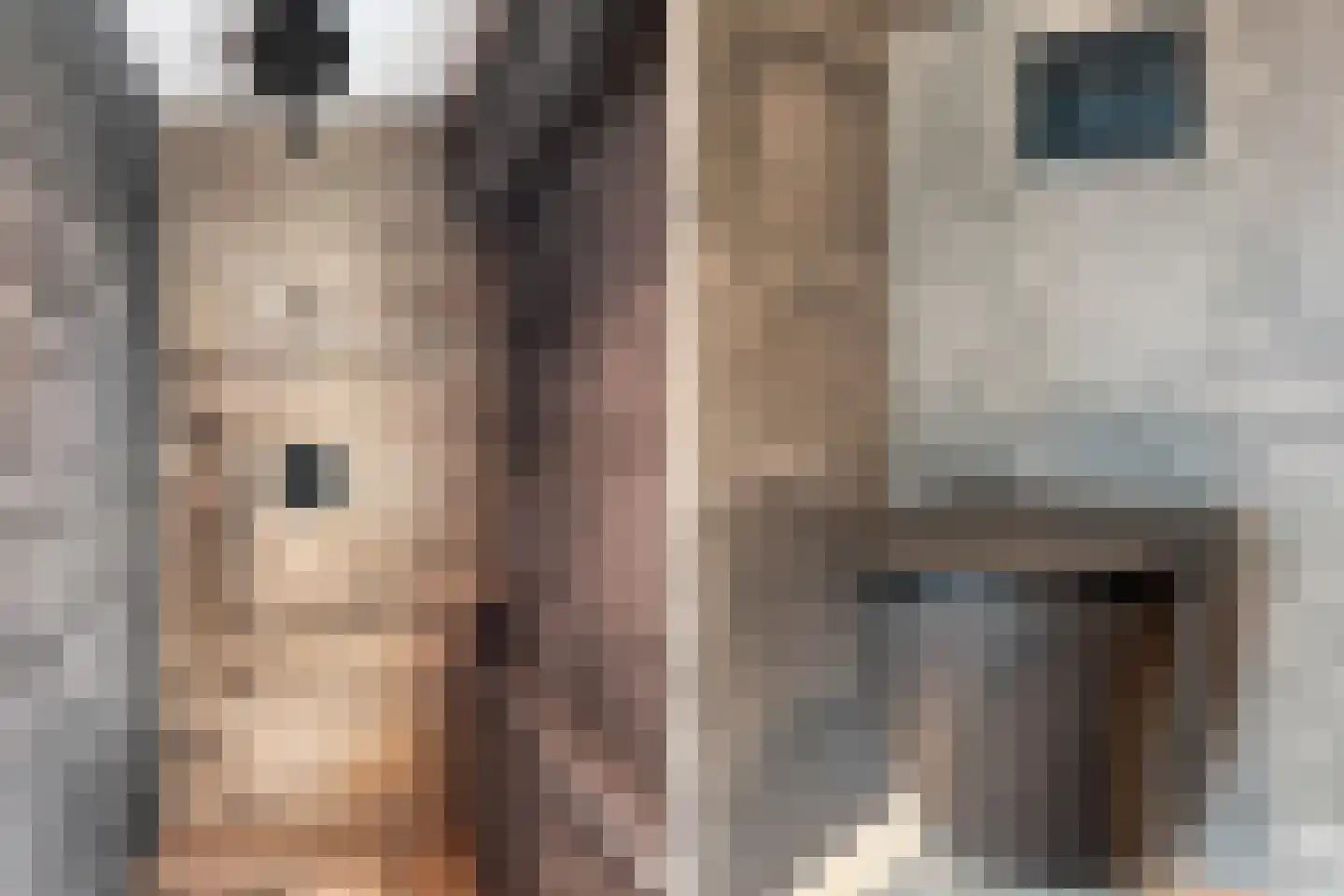 Van Goghstraat 41 Reeuwijk thumbnail 43