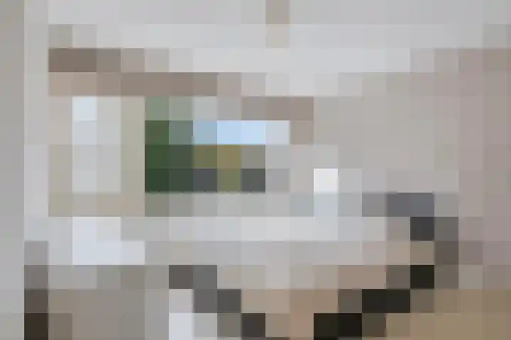 Van Goghstraat 43 Reeuwijk thumbnail 11