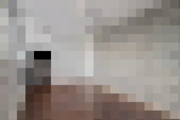 Van Goghstraat 43 Reeuwijk thumbnail 17