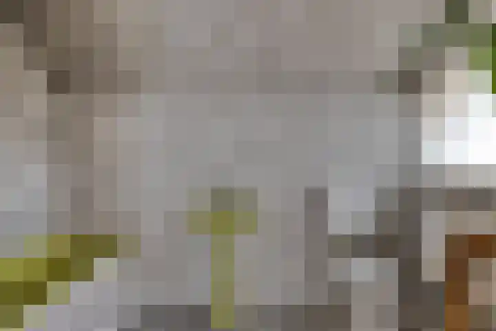 Van Goghstraat 43 Reeuwijk thumbnail 21