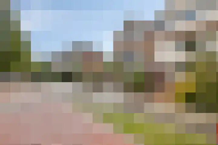 Van Goghstraat 43 Reeuwijk thumbnail 26