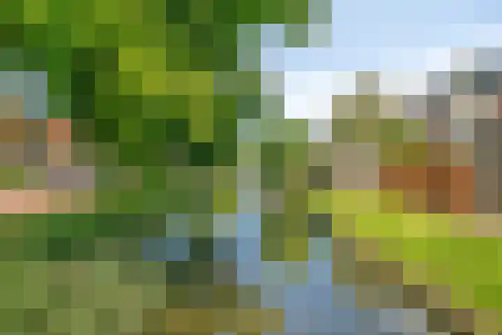 Van Goghstraat 43 Reeuwijk thumbnail 28