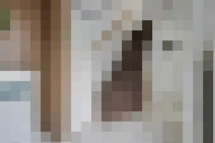 Van Goghstraat 43 Reeuwijk thumbnail 5