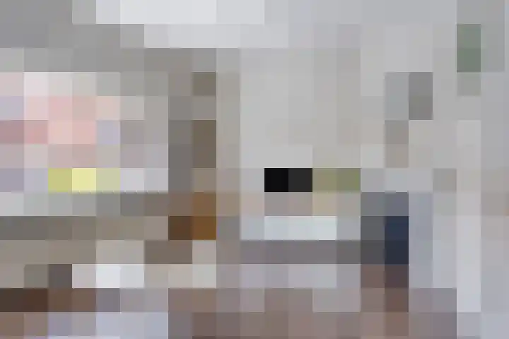 Van Goghstraat 44 Arnhem thumbnail 10