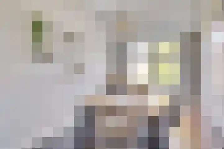 Van Goghstraat 44 Arnhem thumbnail 12