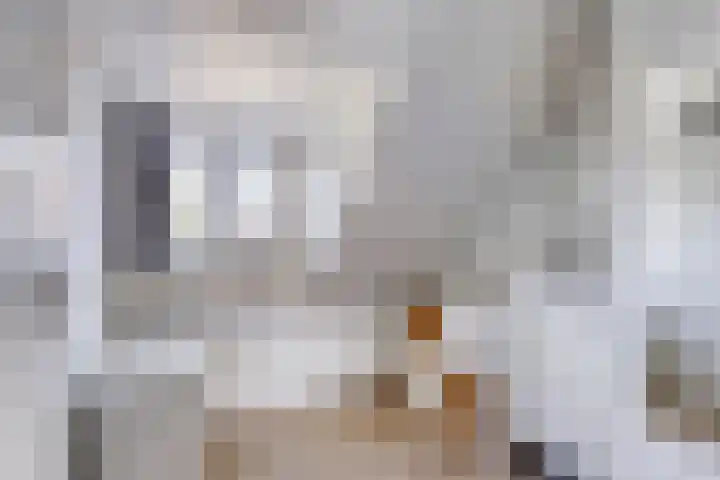 Van Goghstraat 44 Arnhem thumbnail 21