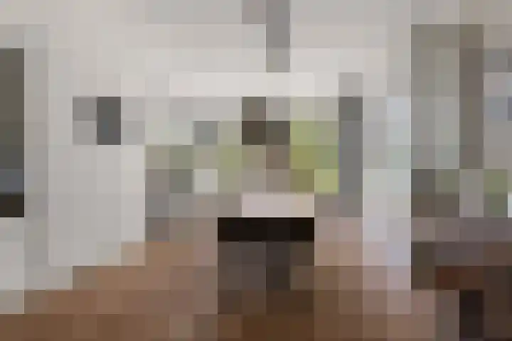 Van Goghstraat 5 Arnhem thumbnail 17