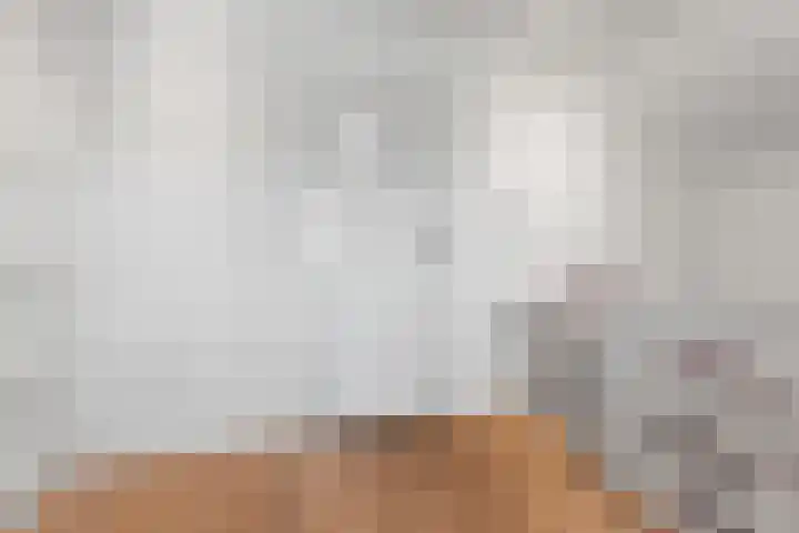 Van Goghstraat 5 Arnhem thumbnail 38