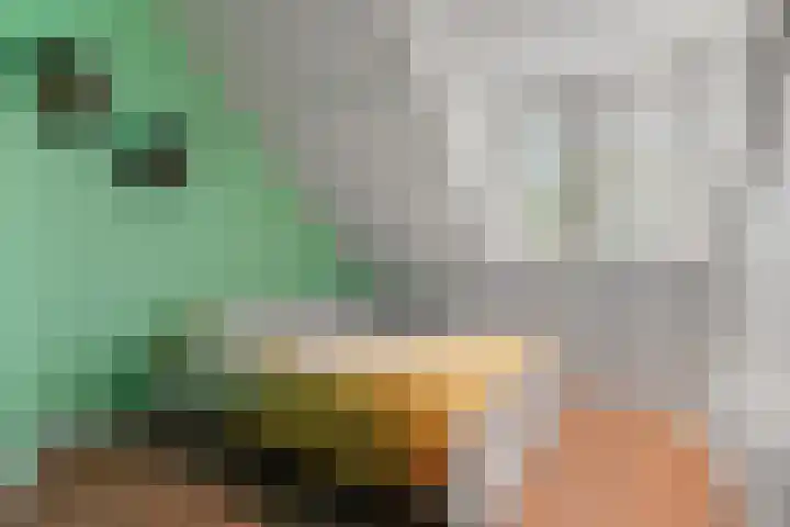 Van Goghstraat 5 Arnhem thumbnail 42