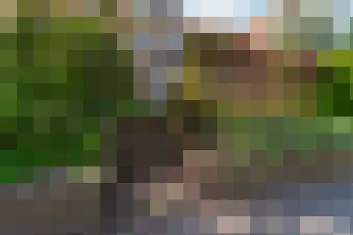 Van Goghstraat 5 Arnhem thumbnail 5