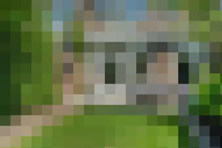Van Goghstraat 5 Arnhem thumbnail 51