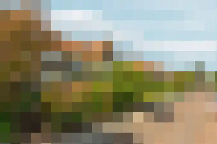 Van Goghstraat 5 Arnhem thumbnail 53