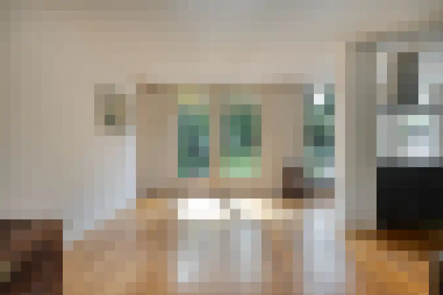 van Goghstraat 5 Son en Breugel thumbnail 16