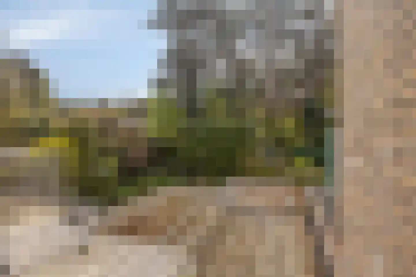 van Goghstraat 5 Son en Breugel thumbnail 35