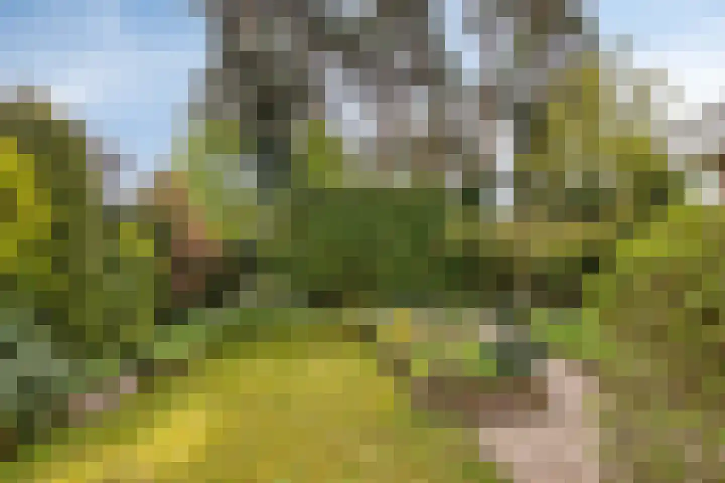 van Goghstraat 5 Son en Breugel thumbnail 36