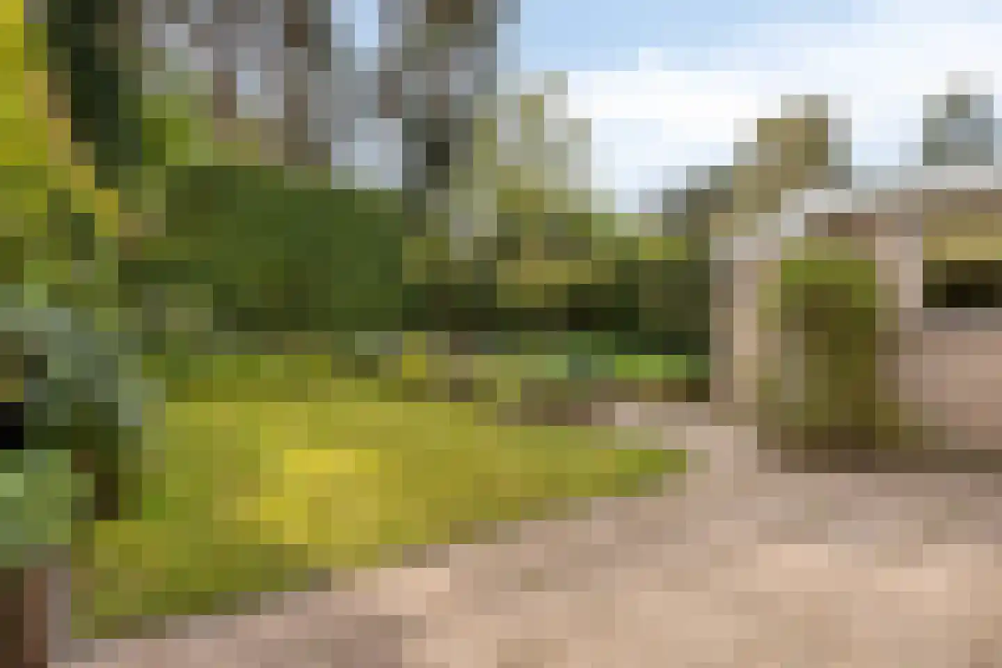 van Goghstraat 5 Son en Breugel thumbnail 37