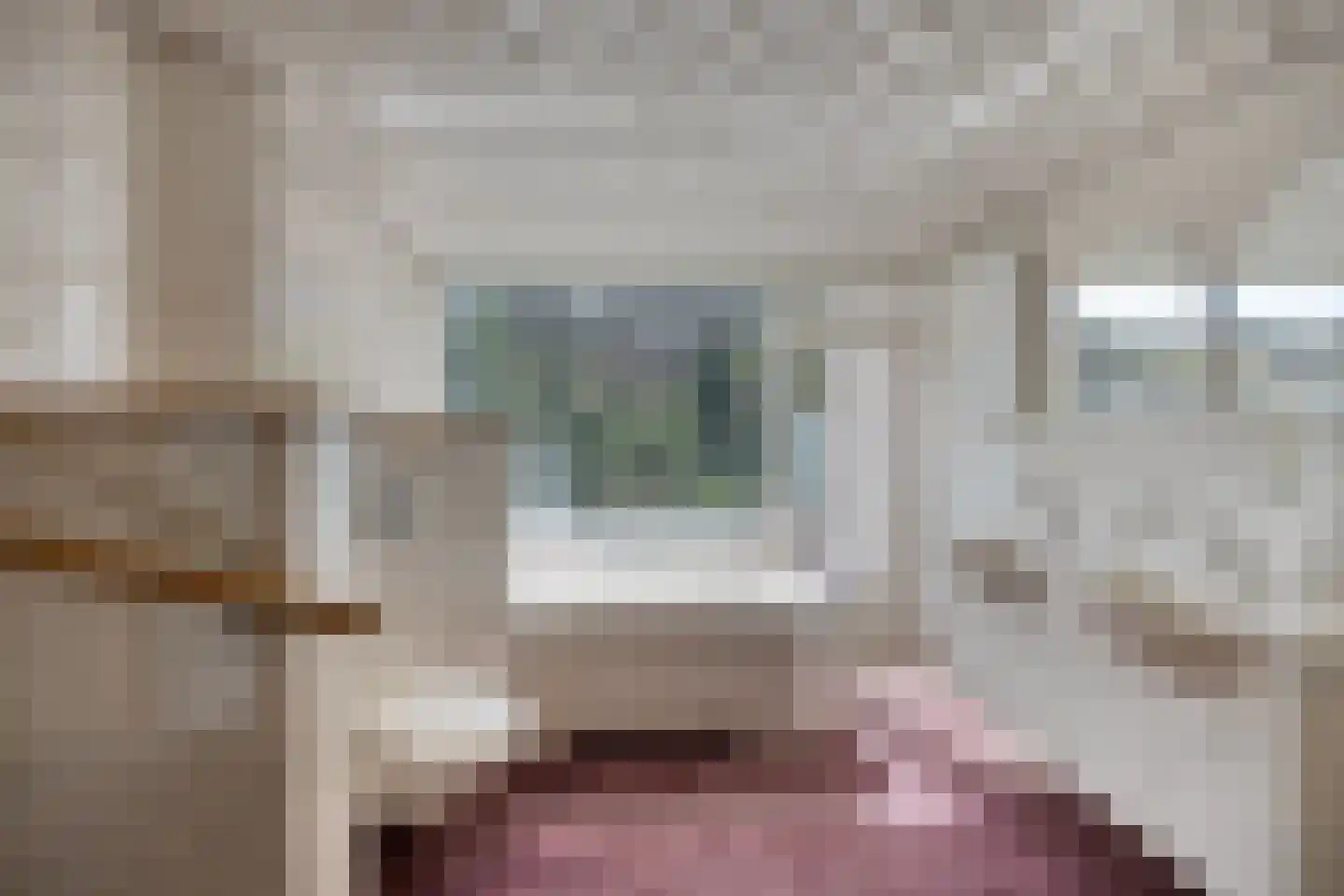 van Goghstraat 5 Son en Breugel thumbnail 4