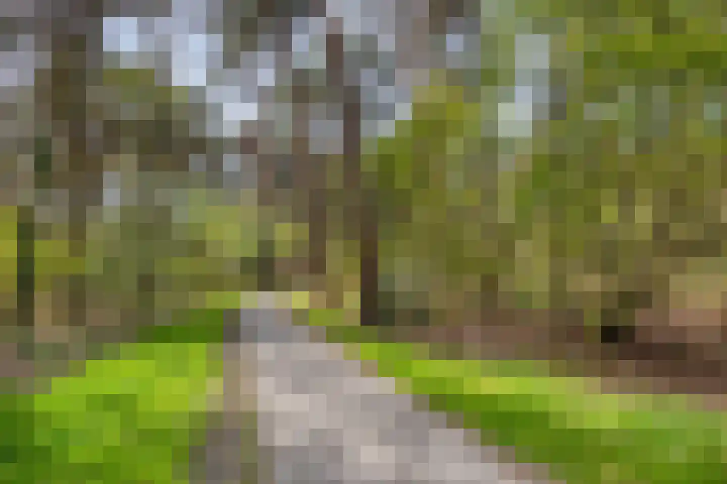 van Goghstraat 5 Son en Breugel thumbnail 41