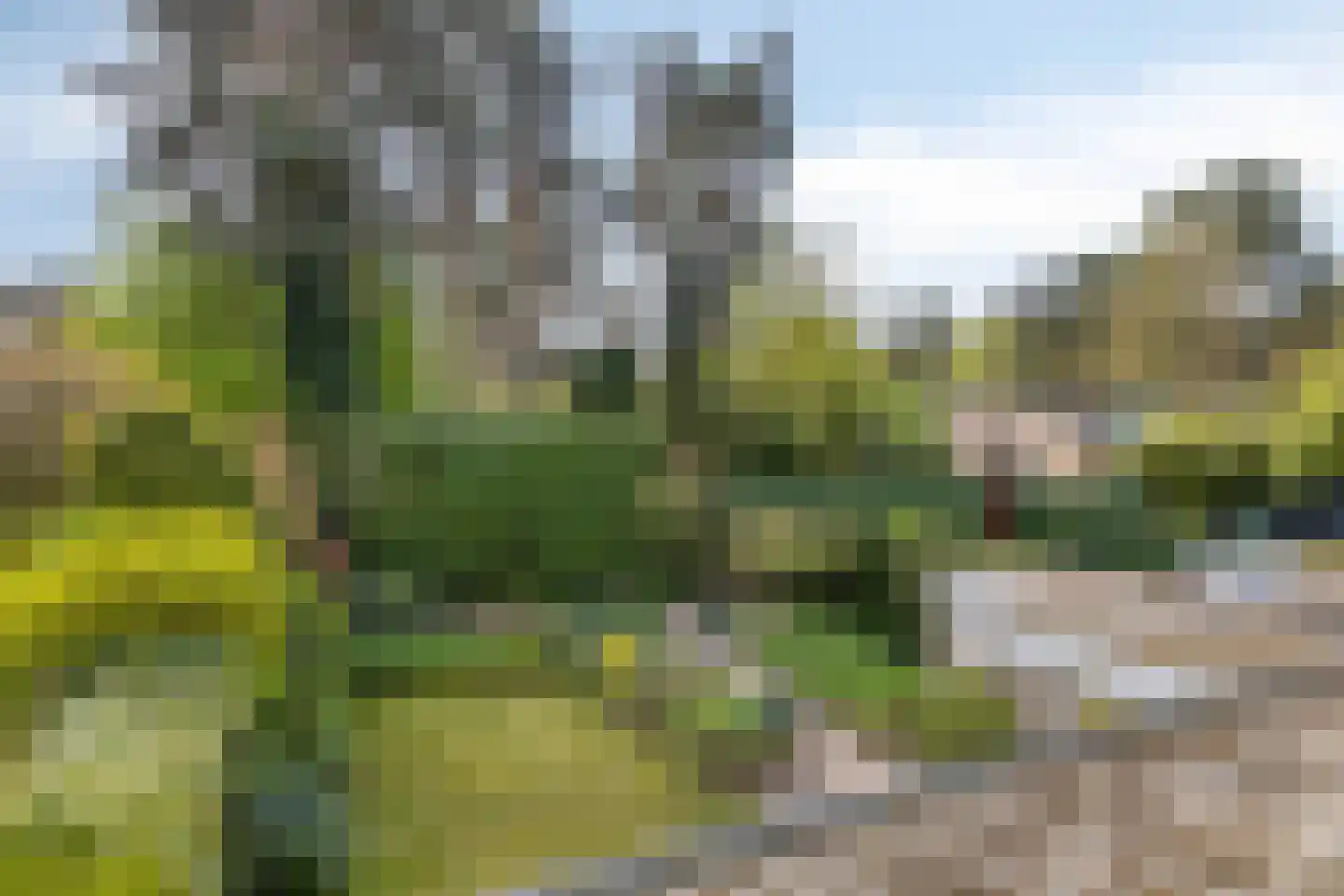 van Goghstraat 5 Son en Breugel thumbnail 5