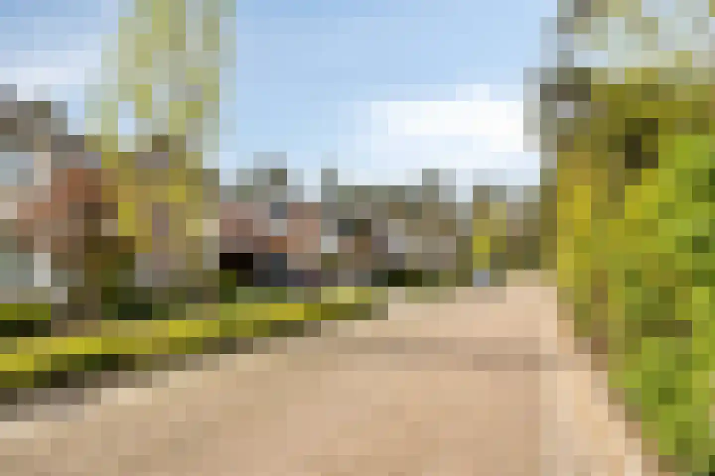 van Goghstraat 5 Son en Breugel thumbnail 8