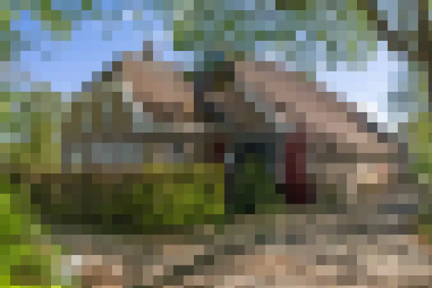 Van Goghstraat 51 in Holsloot