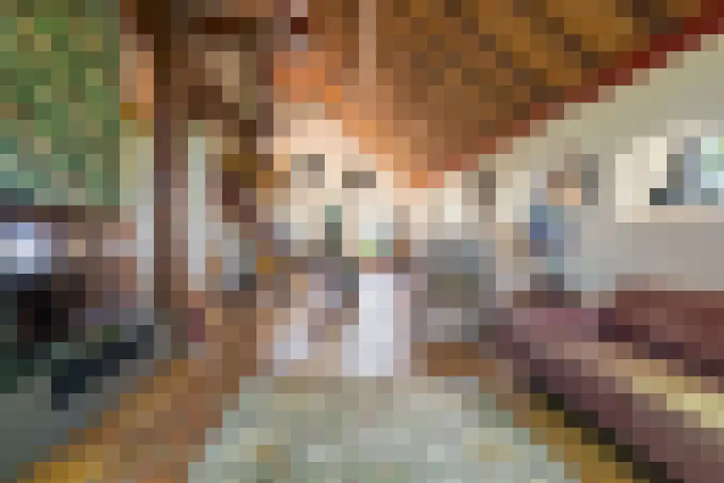 Van Goghstraat 51 Holsloot thumbnail 10