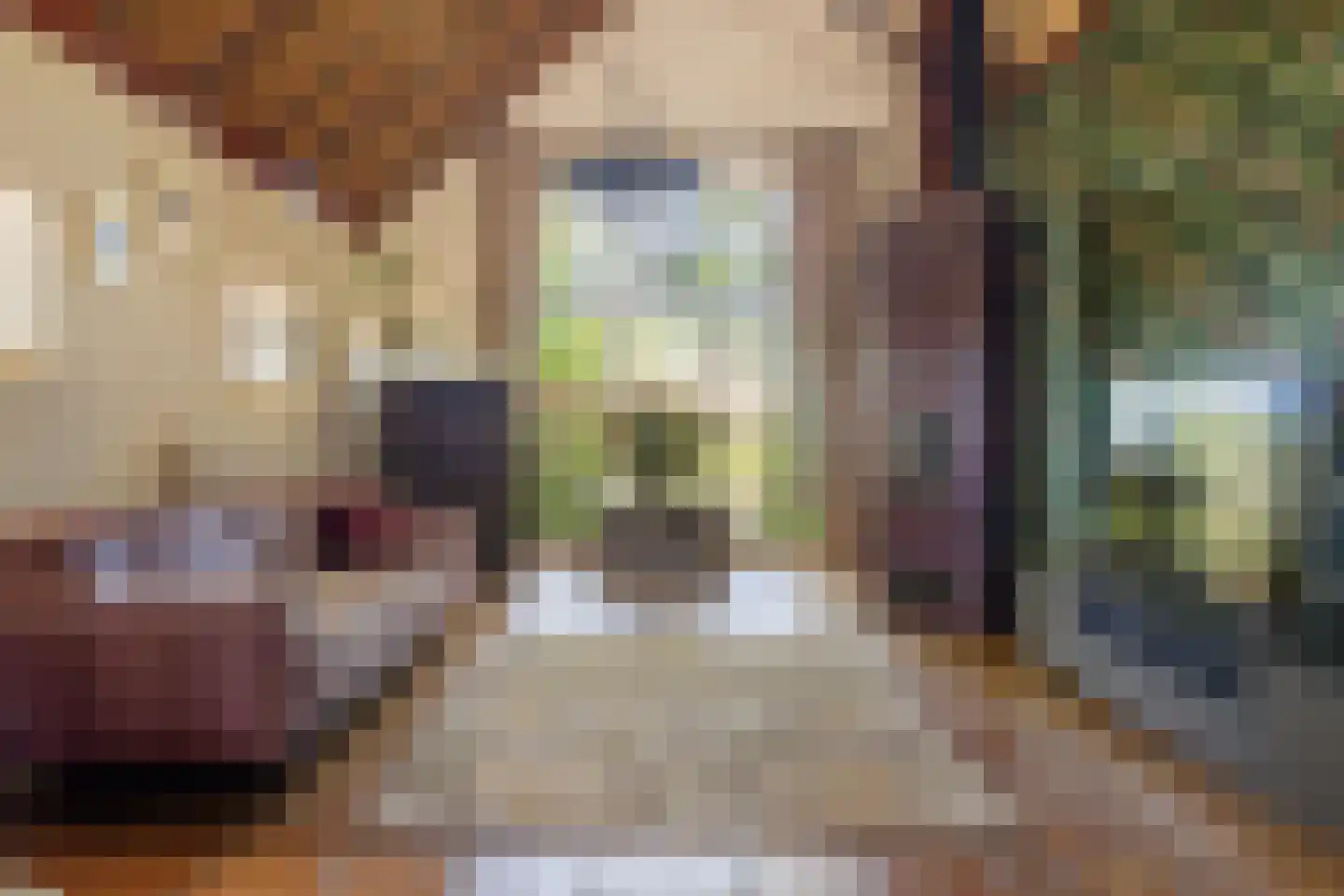 Van Goghstraat 51 Holsloot thumbnail 10