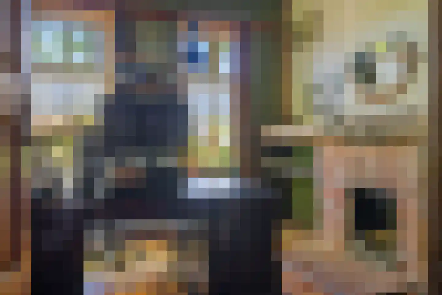 Van Goghstraat 51 Holsloot thumbnail 21