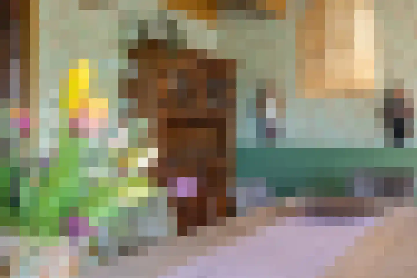 Van Goghstraat 51 Holsloot thumbnail 27