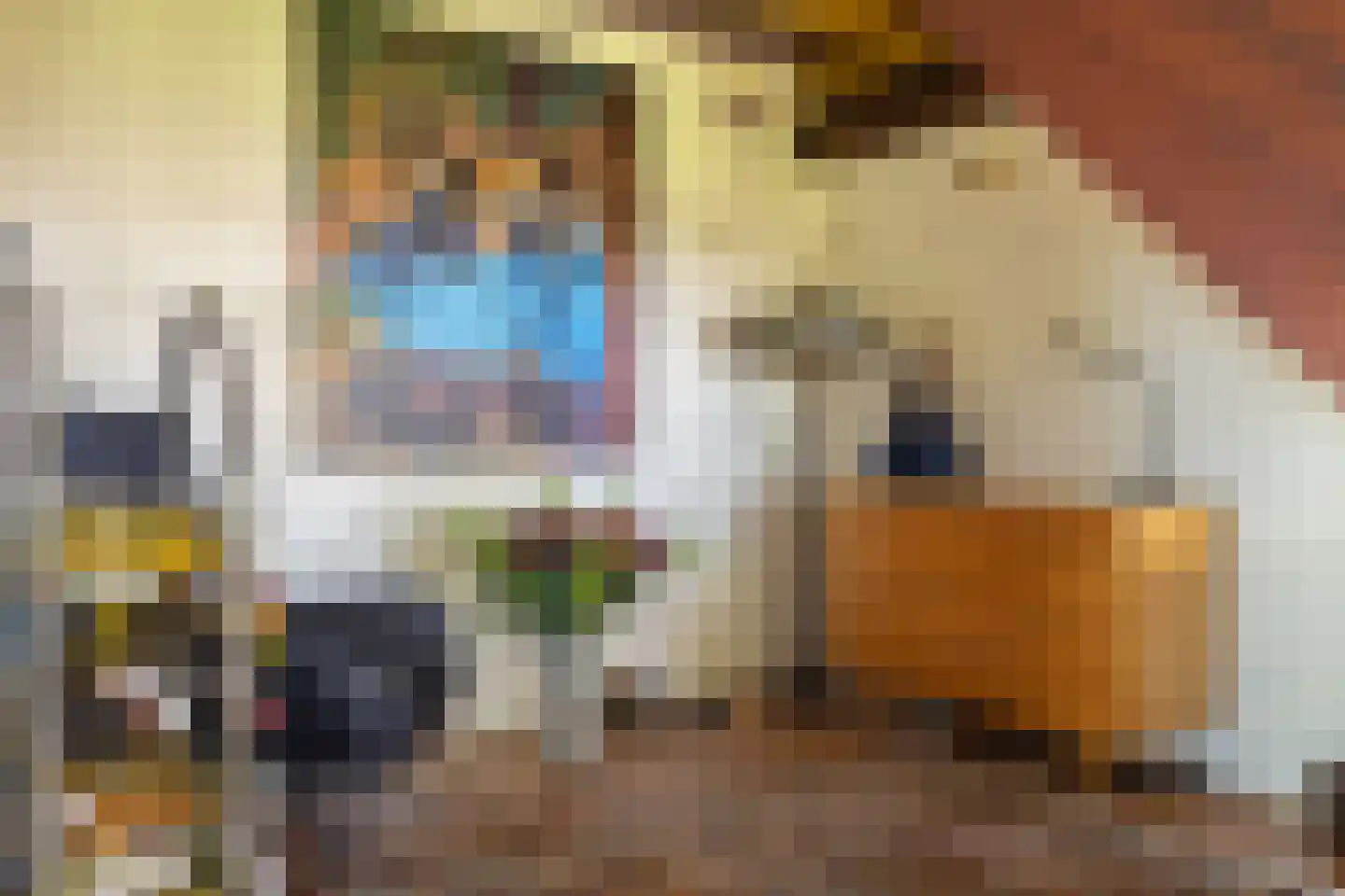 Van Goghstraat 51 Holsloot thumbnail 29