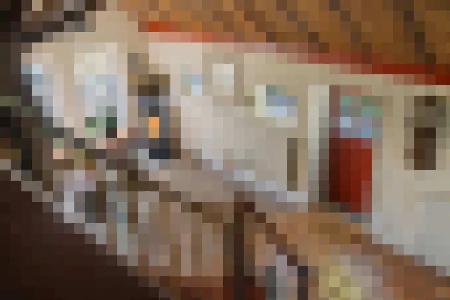 Van Goghstraat 51 Holsloot thumbnail 31