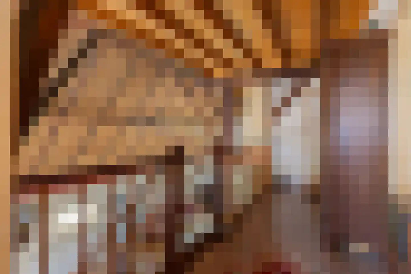 Van Goghstraat 51 Holsloot thumbnail 32