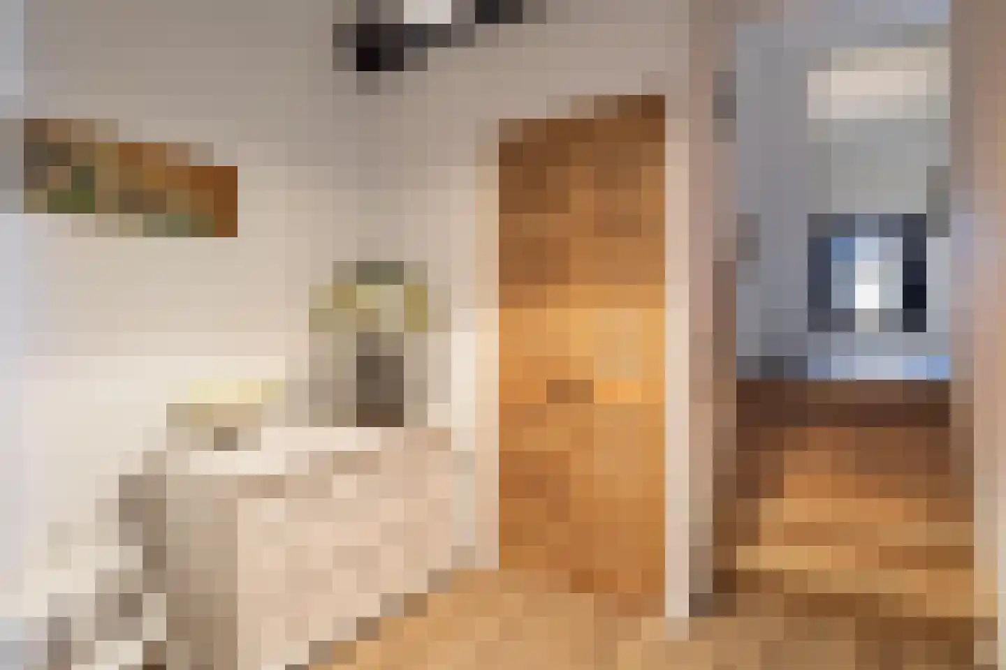 Van Goghstraat 51 Holsloot thumbnail 34