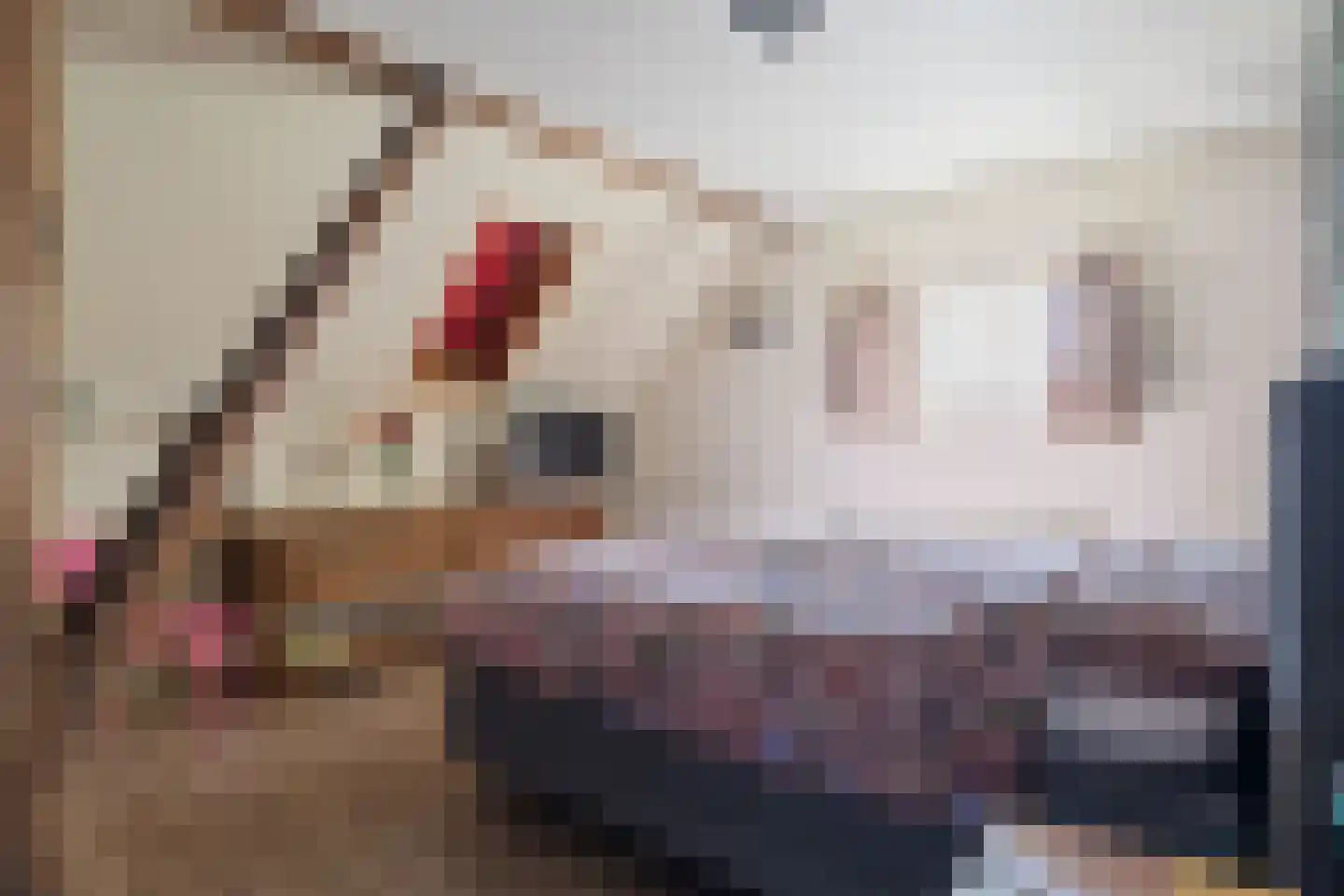 Van Goghstraat 51 Holsloot thumbnail 38