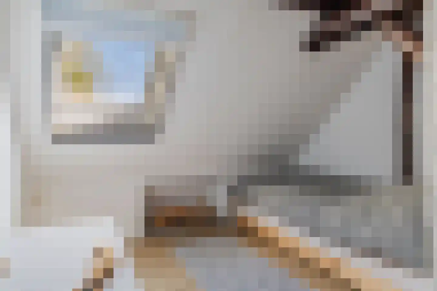 Van Goghstraat 51 Holsloot thumbnail 39