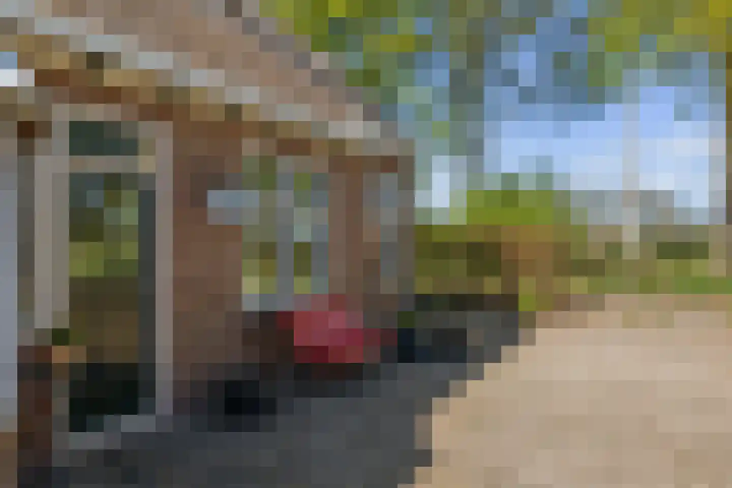 Van Goghstraat 51 Holsloot thumbnail 46