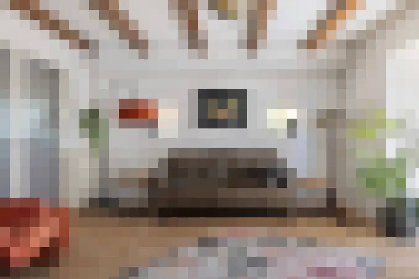 Van Goghstraat 51 Holsloot thumbnail 47