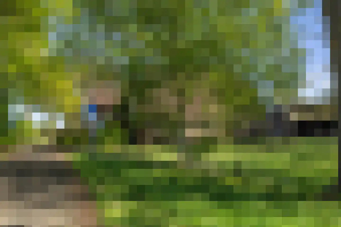Van Goghstraat 51 Holsloot thumbnail 5