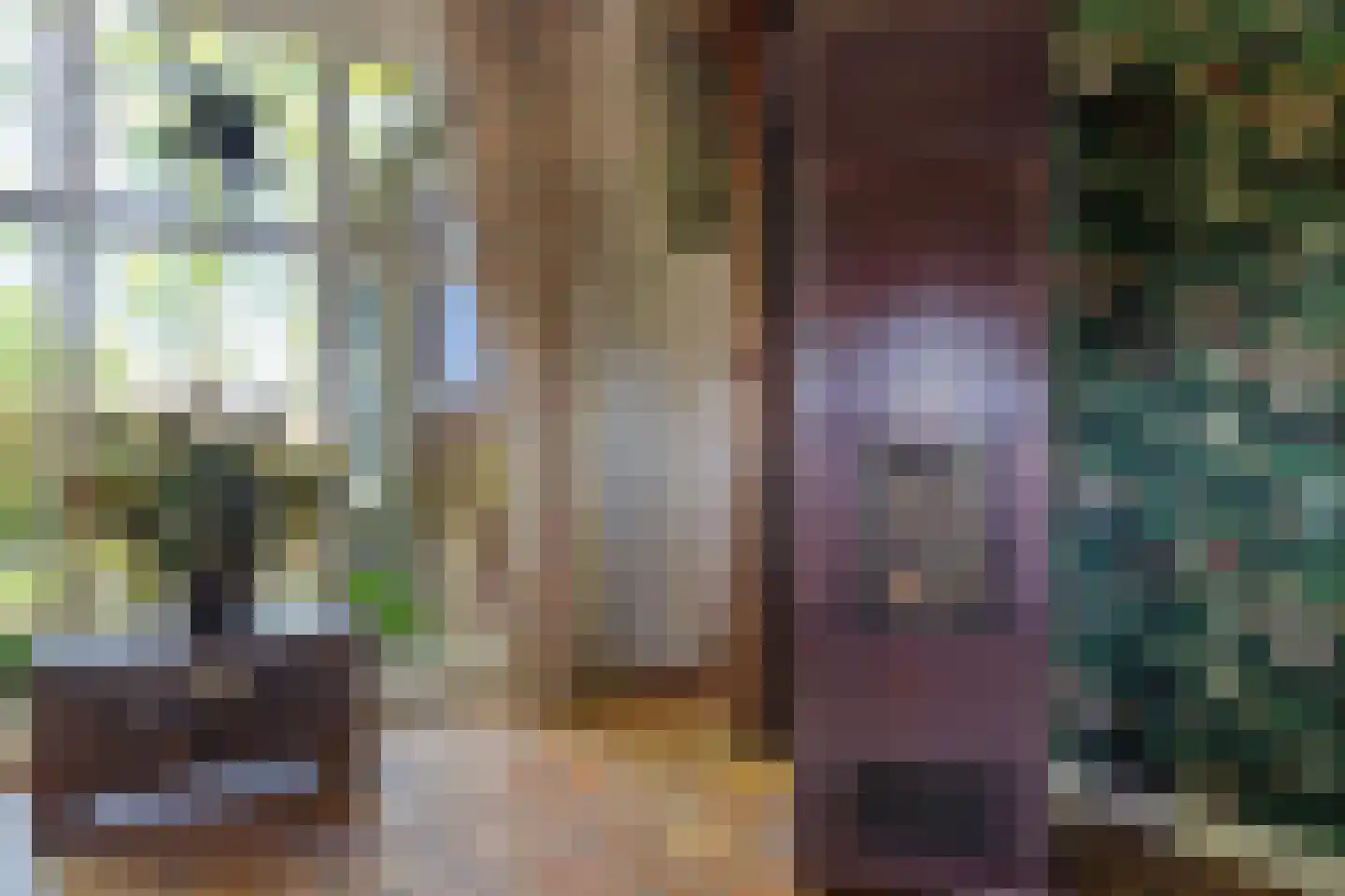 Van Goghstraat 51 Holsloot thumbnail 50