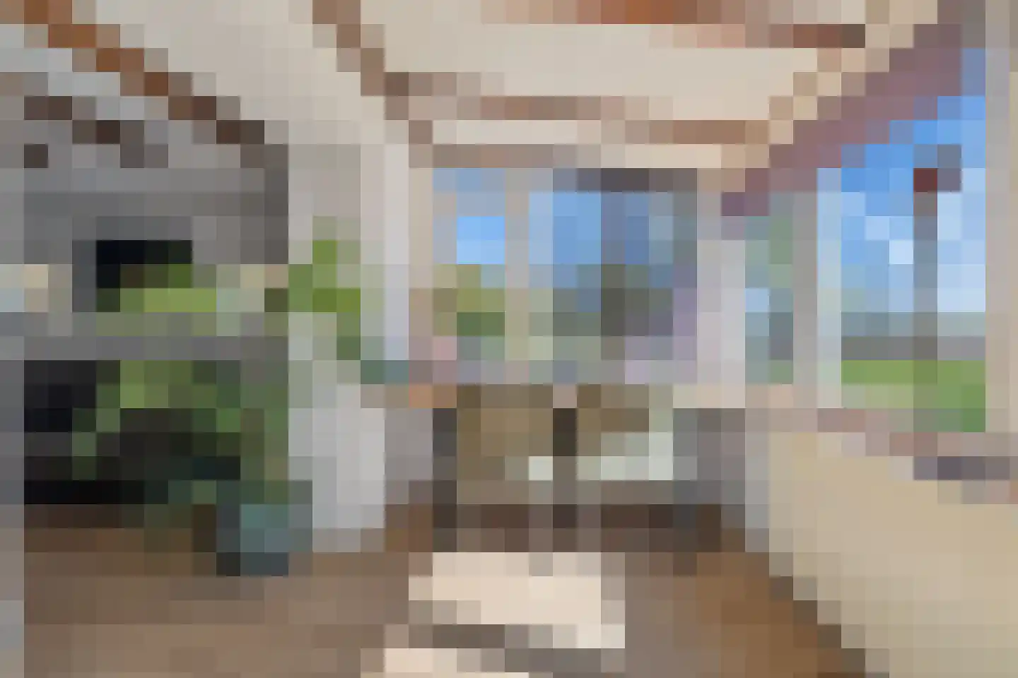 Van Goghstraat 51 Holsloot thumbnail 52