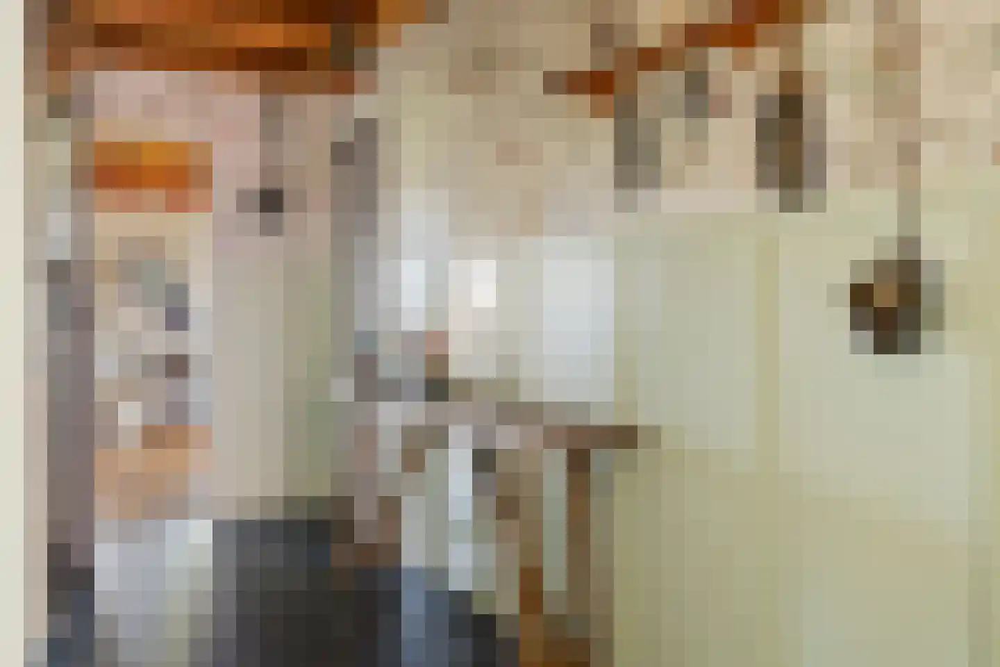 Van Goghstraat 51 Holsloot thumbnail 54