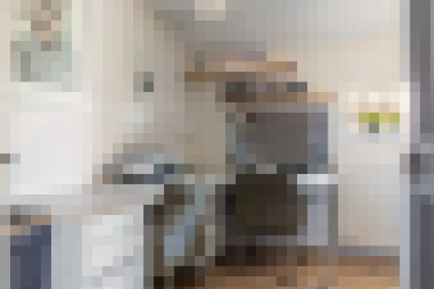 Van Goghstraat 51 Holsloot thumbnail 59