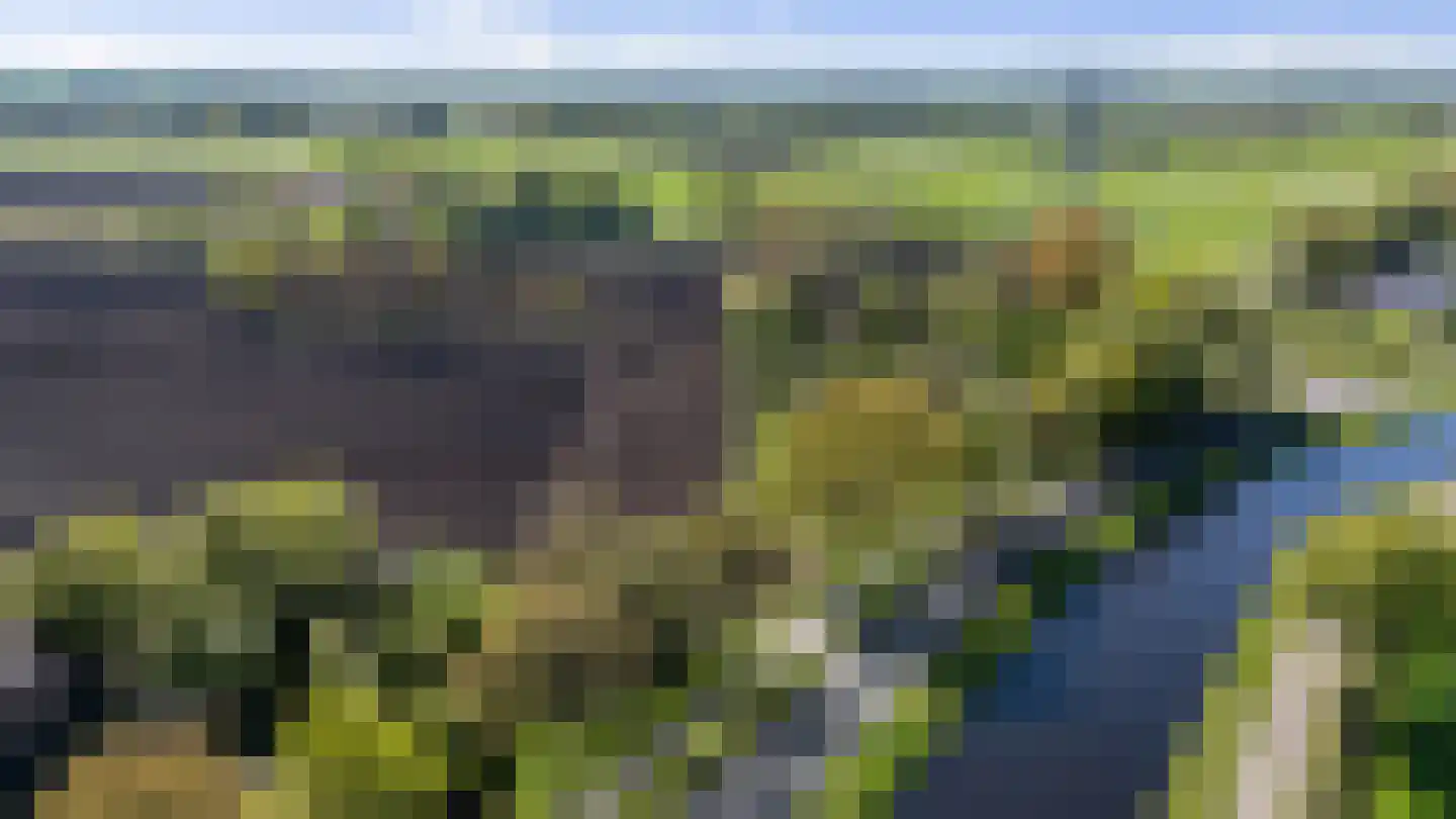 Van Goghstraat 51 Holsloot thumbnail 6