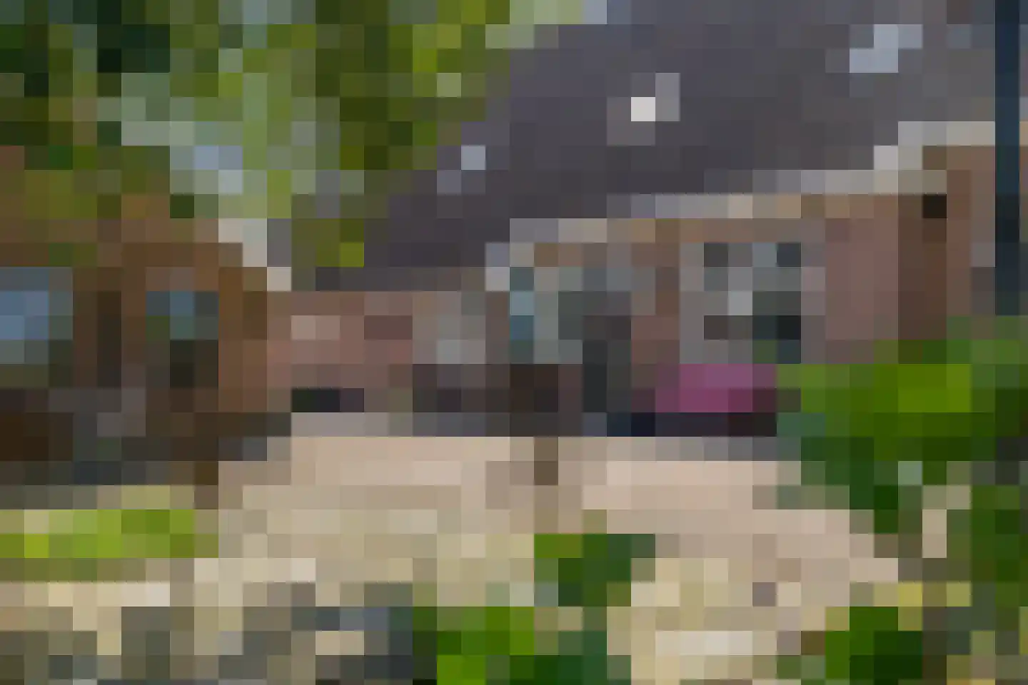 Van Goghstraat 51 Holsloot thumbnail 63